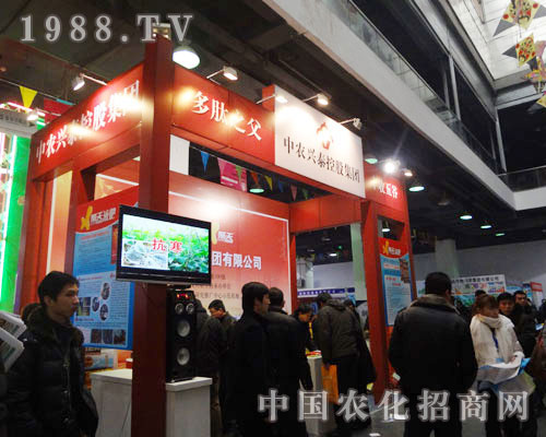 中農興泰——多肽之父 豐收五谷