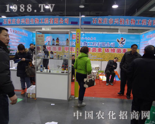 ӱdؼF(tun)չʯfr(nng)ˎϲ