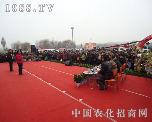 ɽ|ʝr(nng)Yו(hu)u(png)ίJ(rn)c(din)u(png)