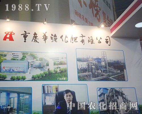 A(qing)2012׏(f)չ[(hu)Ͼ