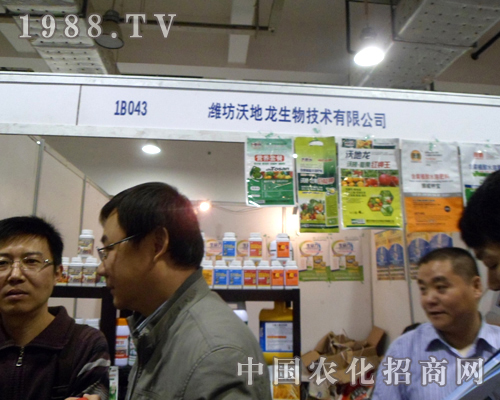 ֵ(j)r(nng)ˎ(hu)̴M(jn)