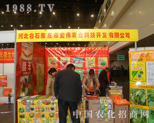 ꂥr(nng)I(y)ڵ28ֲpo҂o@ϲ