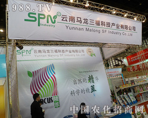     RƼ2012ֲו(hu)