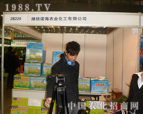 HZr(nng)I(y)WR2012ȫֲ