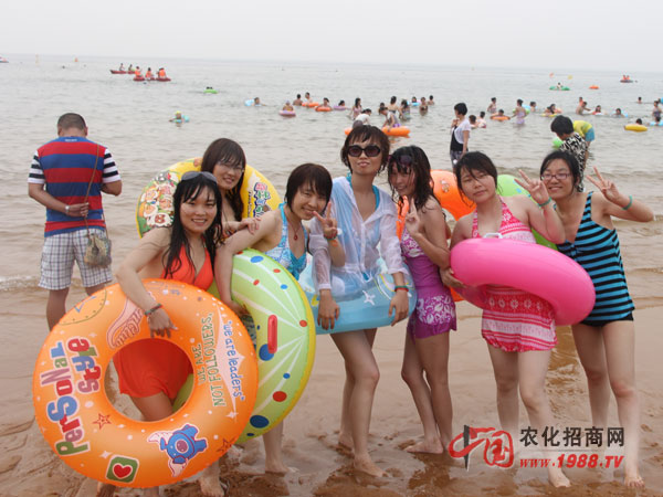 海帶來的博大魅力--美女如云