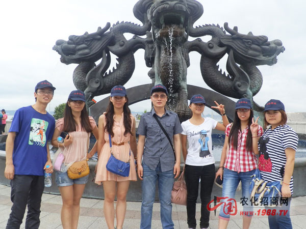 我的小團(tuán)隊(duì)