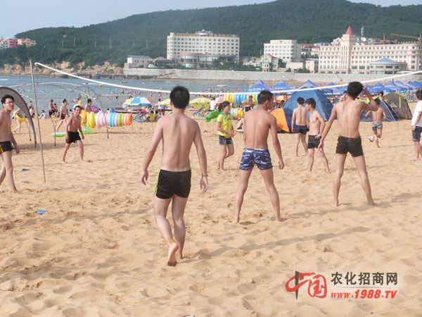 玩一玩沙灘排球