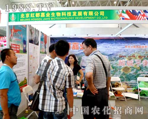     tΘI(y)12½r(nng)(hu)չλǰ̲