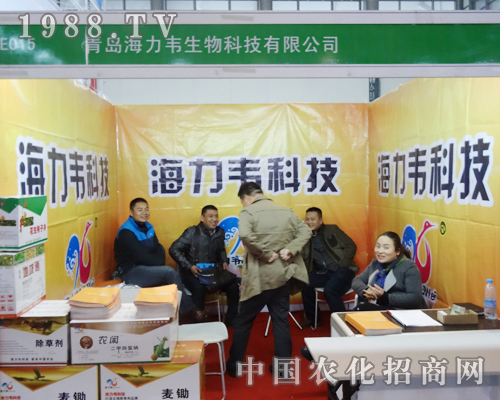 f2013Kֲ(hu)AÏV͑ϲ