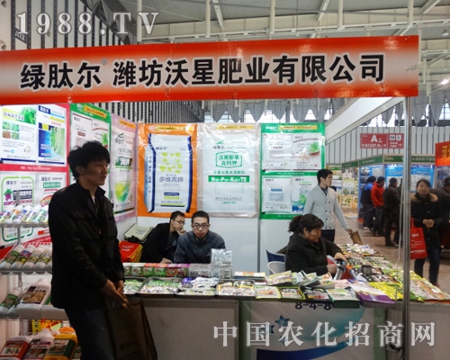 ǷʘI(y)2013ֲ(hu)ϲ