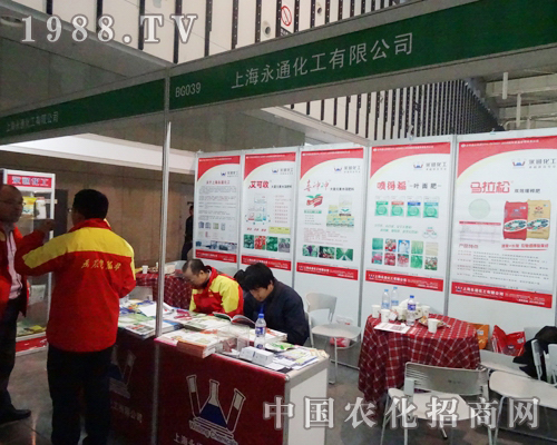     Ϻͨ2013KϾֲ(hu)һQ@