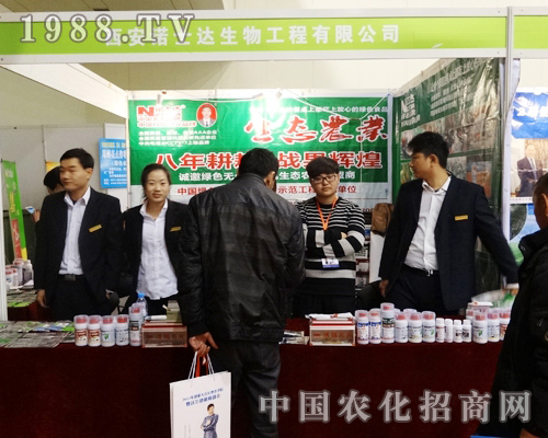 Zʿ_(d)2013ȫ(gu)r(nng)Y(hu)high(chng)