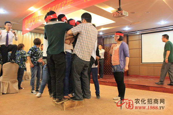 風(fēng)雨同舟-團(tuán)隊(duì)凝聚力的體現(xiàn)