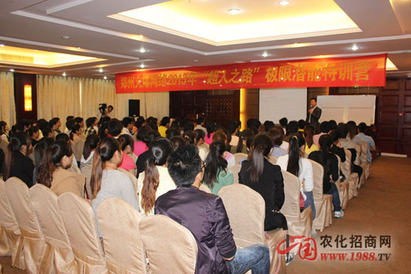 自我認(rèn)知與團(tuán)隊(duì)訓(xùn)練