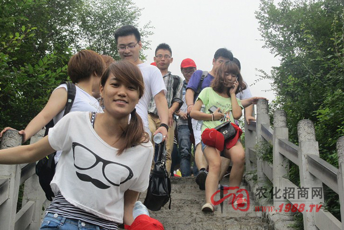 云霧繚繞的云臺(tái)主峰-茱萸峰