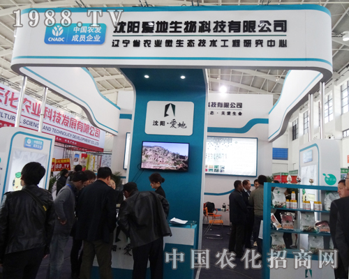 (yng)۵Ƽӵʮ(yng)ϕ(hu)