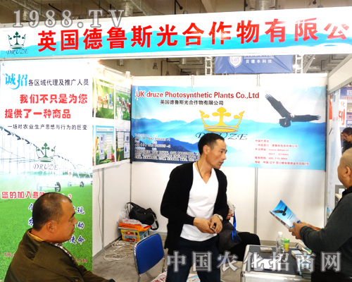 ˹(qing)ݼ2014ɽ|ֲ