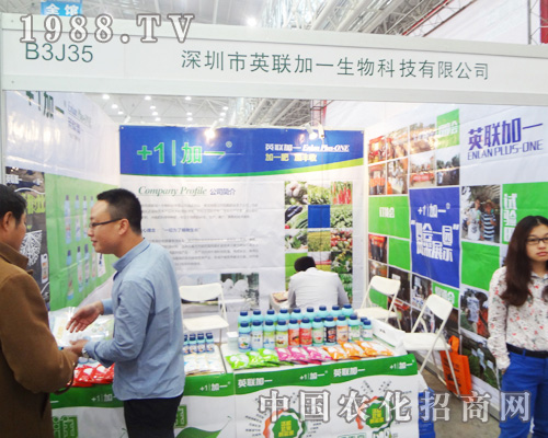 Ӣ(lin)һ2014ȫ(gu)ֲ(hu)ϹʊZĿ