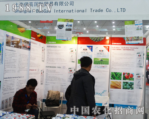 ϺQ(mo)׹˾ɹӵʮȫֲ