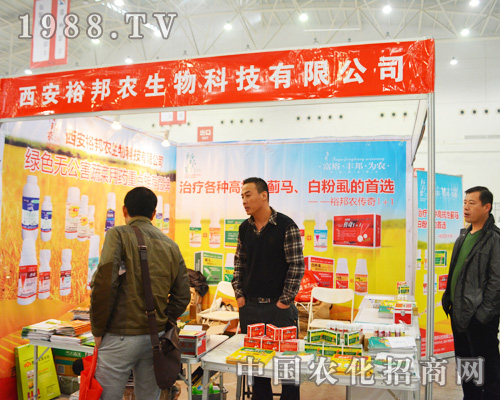 ԣF(xin)2014ȫֲ(hu)