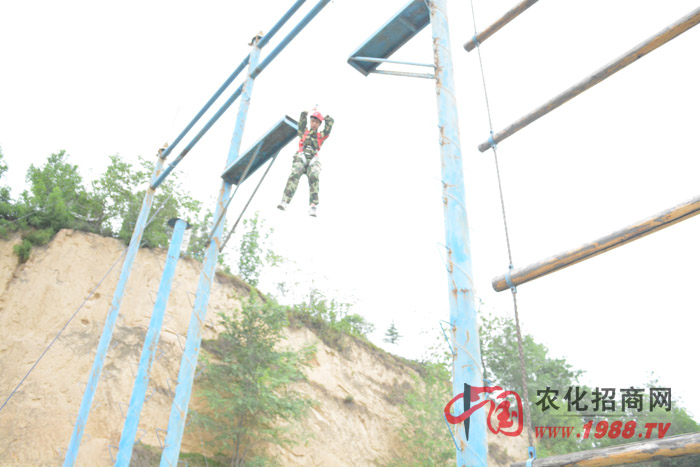 ЩֻǲнYֻ˲֪Լɲ