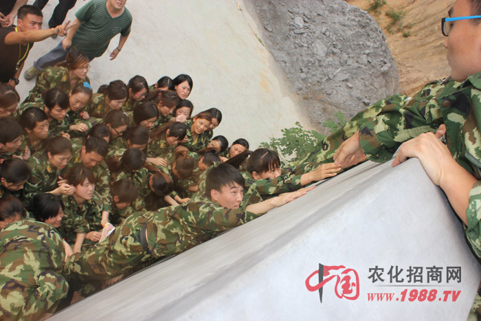 I(y)-ԼܵһF(tun)(du)(qing)