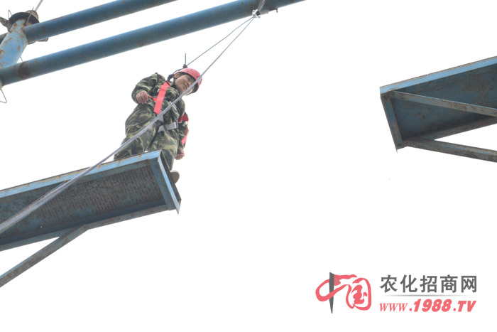 ߿Քһ(g)(zhn)ҵ(xing)Ŀ