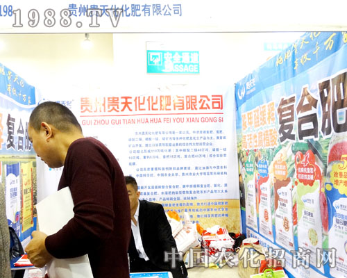 FF컯ɳ˾ӢF2015ɽ|ֲ