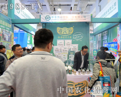 ɽ|ֲ(hu)r(nng)ِF(tun)Ƽ𺳁u