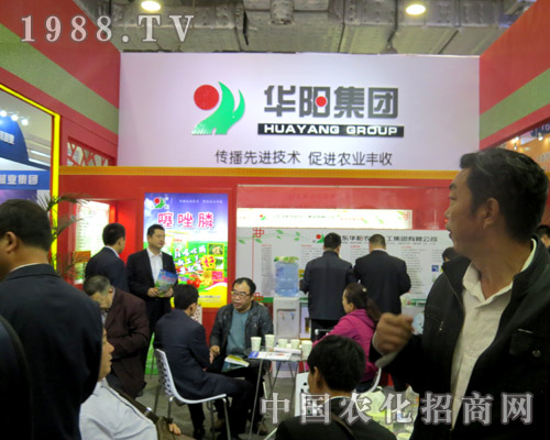 A(yng)F(tun)M(jn)g(sh) M(jn)r(nng)I(y)S