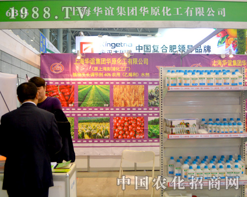 Axȫ(gu)ֲ(hu)Aý(jng)N(xio)A