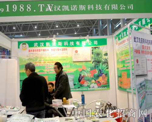 hPZ˹(zhn)ȫ(gu)ֲ(hu)