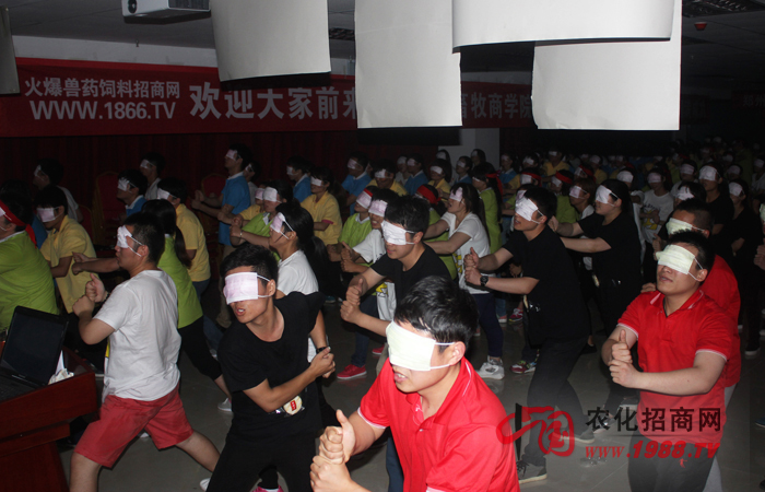 在逆境中成長(zhǎng),在團(tuán)隊(duì)中歷練