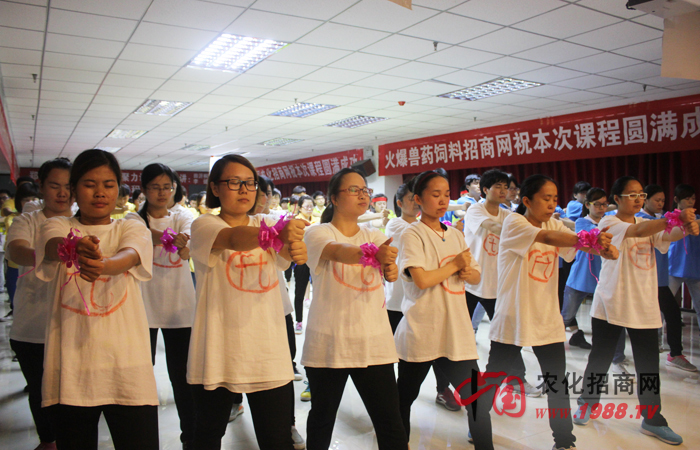 團(tuán)隊(duì)決定你要飛翔的藍(lán)天