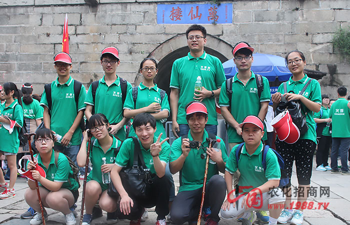 泰山九折,各有所悟