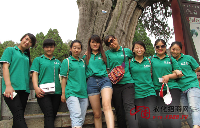 泰山之巔,一覽眾山小