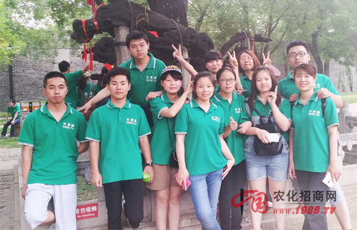 五岳獨尊,昂頭天外——火爆泰山之旅