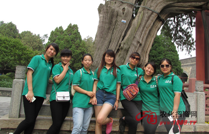 領略泰山風光 感受泰山自然文化魅力