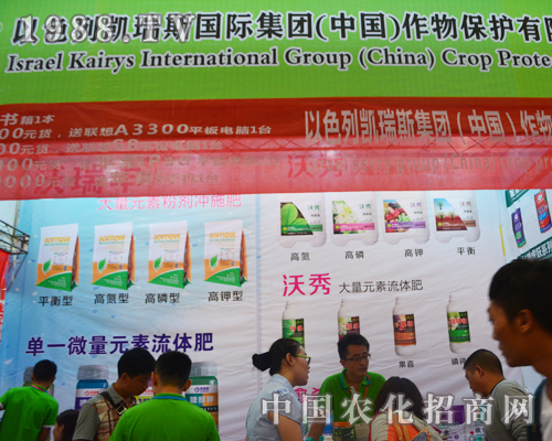 P˹eO(zhn)12r(nng)Y(hu)