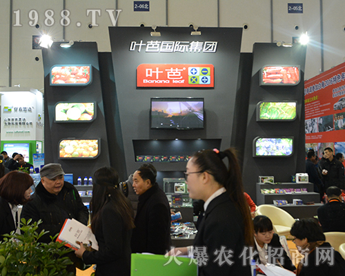 ~Ň(gu)HF(tun)2016ȫ(gu)ֲp(hu)Ϫ(d)ռ^