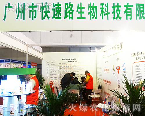 Vݿ·(yng)չ32Ͼֲ