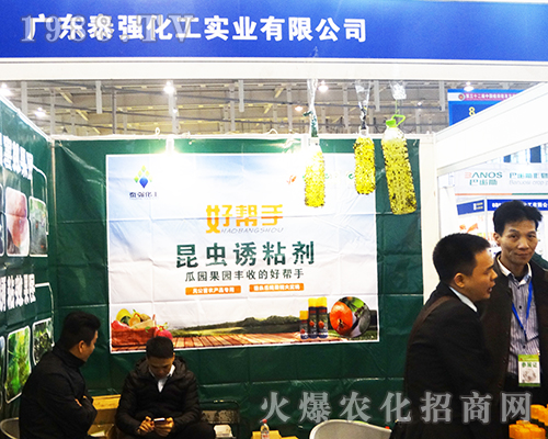 ̩(qing)2016ȫֲp(hu)ի@