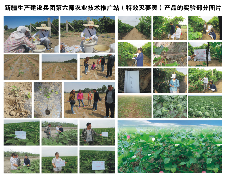 ½a(chn)O(sh)F(tun)r(nng)I(y)g(sh)ƏVվa(chn)ƷČ򞲿ֈDƬ