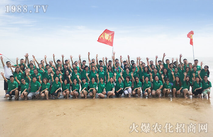 擁抱大海,感受大自然的奇妙風(fēng)光!