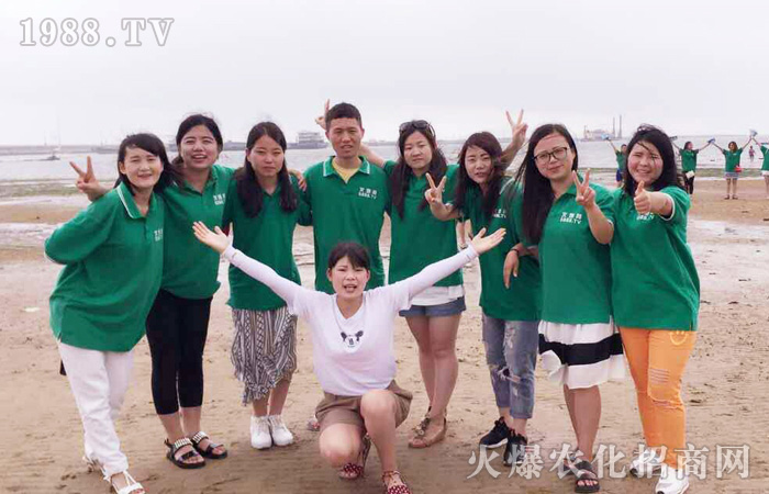 火爆團(tuán)隊(duì),海島之旅