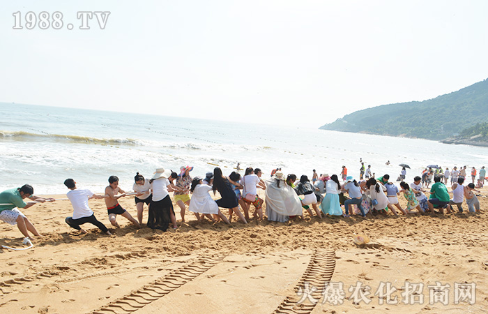 心曠神怡的地方——連島