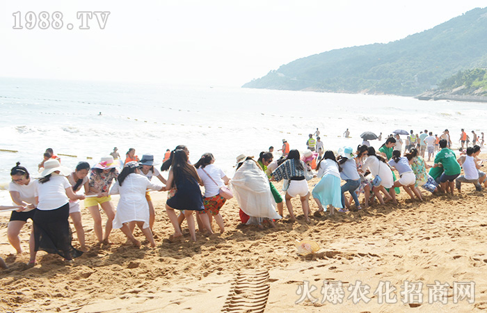 面朝大海,心飛翔