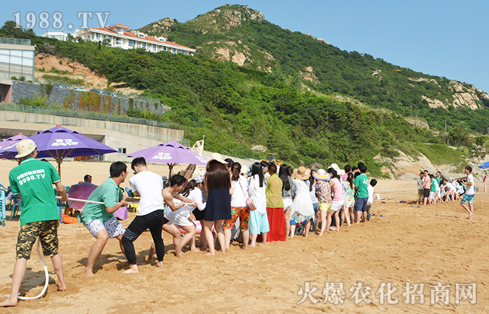 張開雙手擁抱大海