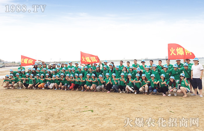 大海是什么顏色的