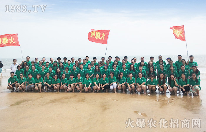 海邊旅行,感受的總是情懷